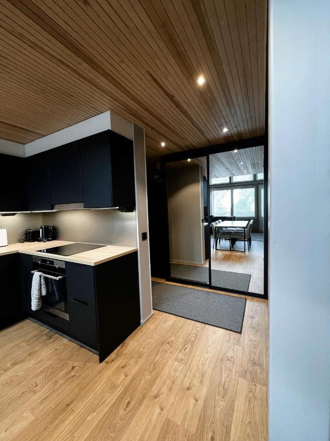 Levin Kunkku B Penthouse Aparthotel Buitenkant foto